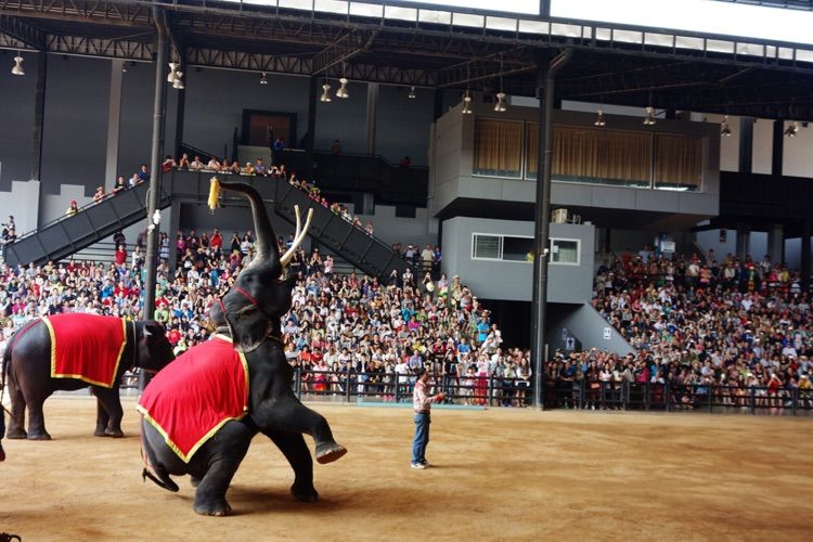 泰国十大私人园林,泰国游之旅