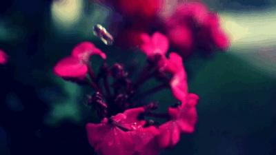 我鼓励你做一个冷淡的人,努力做一个自私的人