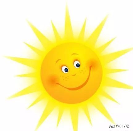 阳台小菜园手把手教你阳台种菜,阳台怎么种菜才能让菜长得肥沃