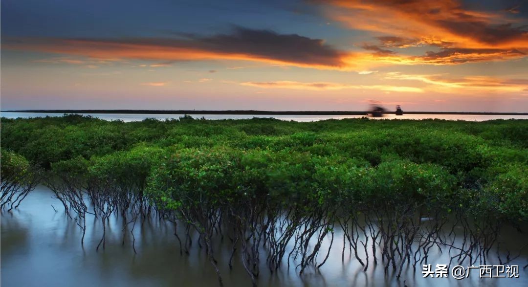 环广西北海赛段,北海环广西