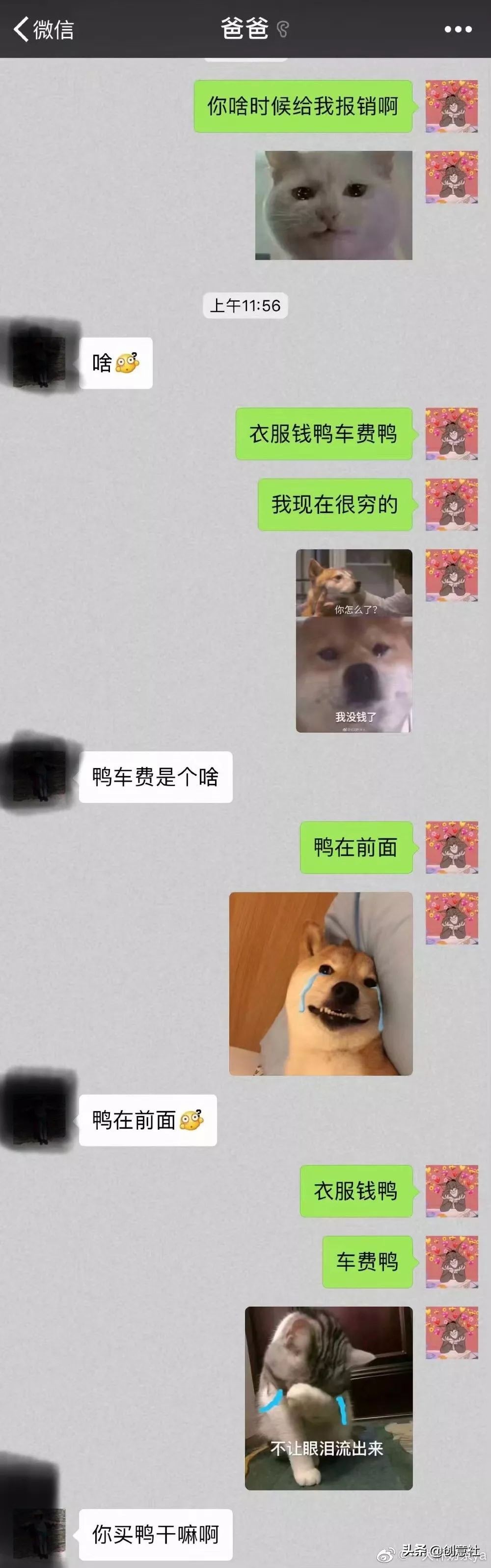 沙雕之间笑喷的聊天记录,沙雕日常搞笑聊天记录