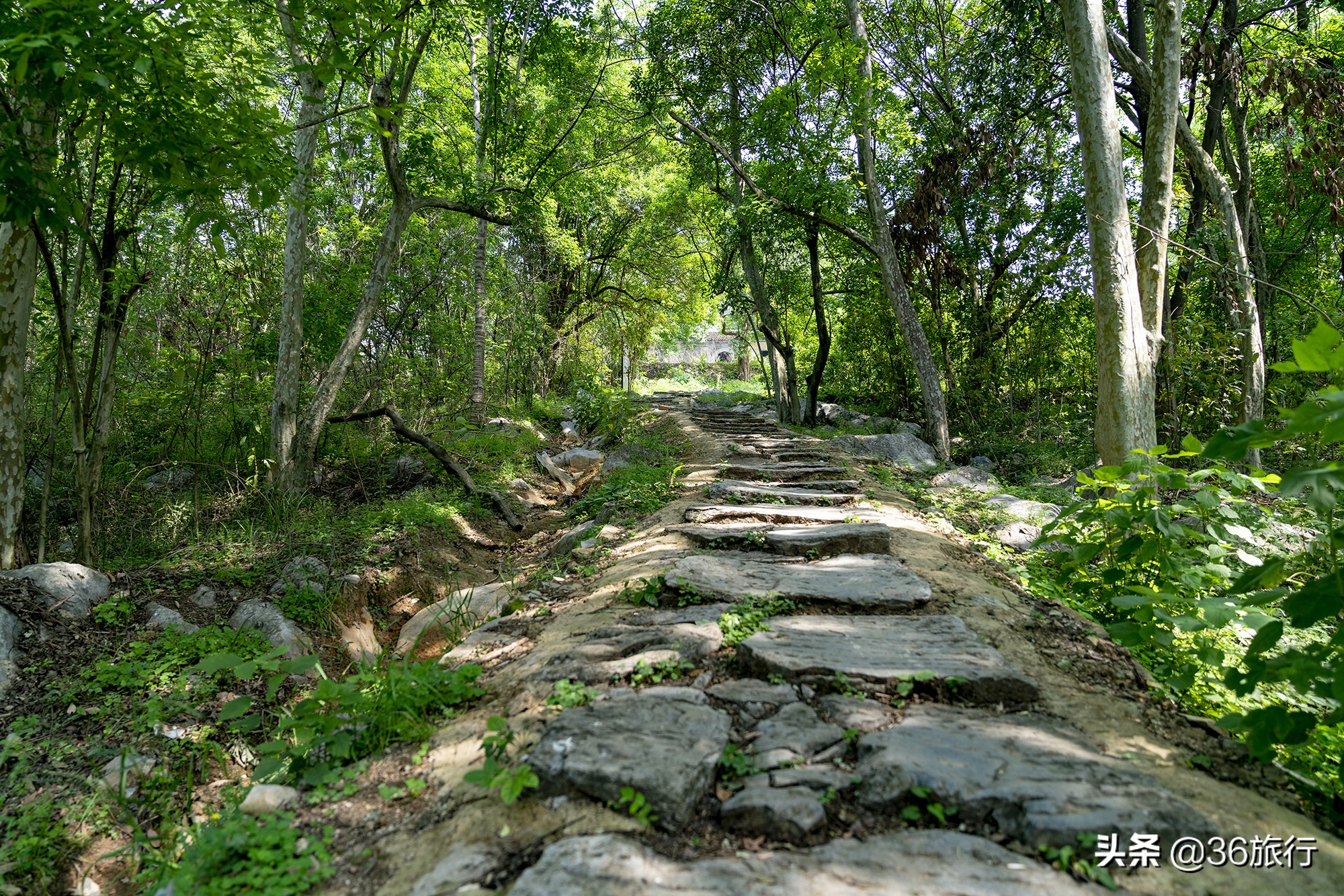 清远连州自驾游两天一夜攻略,清远连州适合一日游的地方