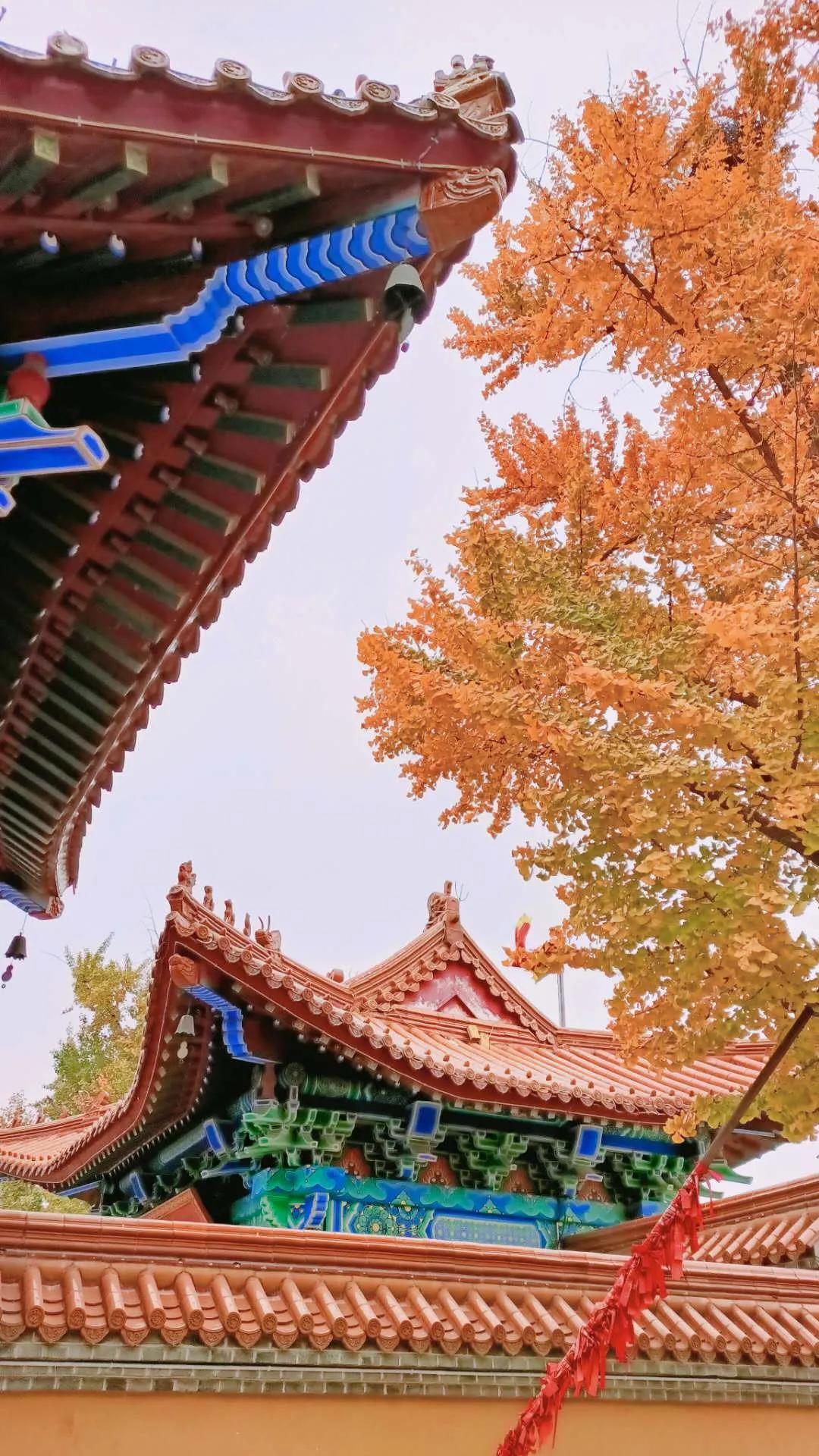 山东文化之旅攻略,山东旅游攻略冬季旅游路线