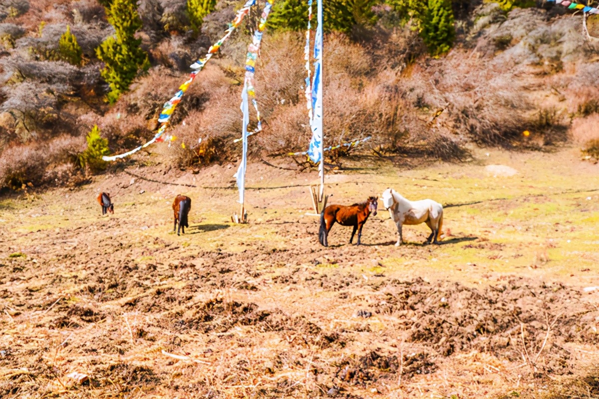 九寨沟最美的一处景点,九寨沟风景区好山好水好风光