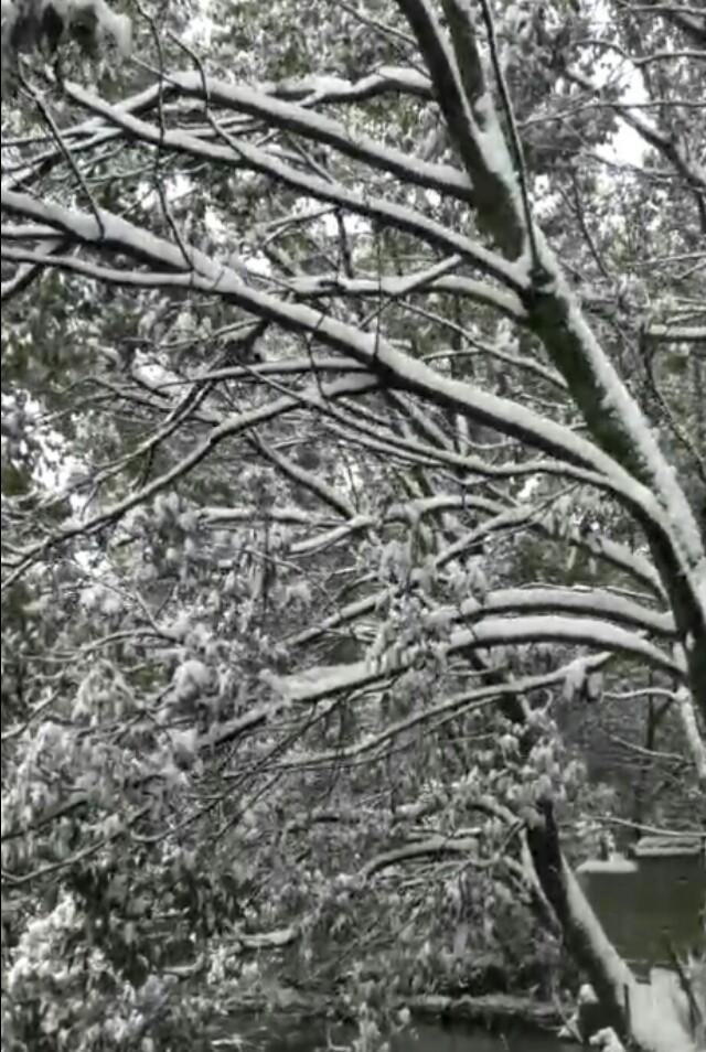 2018年辛苦了,2018辛苦了致自己