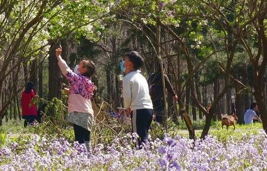 北京戒台寺郊野公园,北京燕山东岭郊野公园