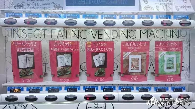 日本昆虫拉面自助售卖机,日本活体昆虫自助售卖机