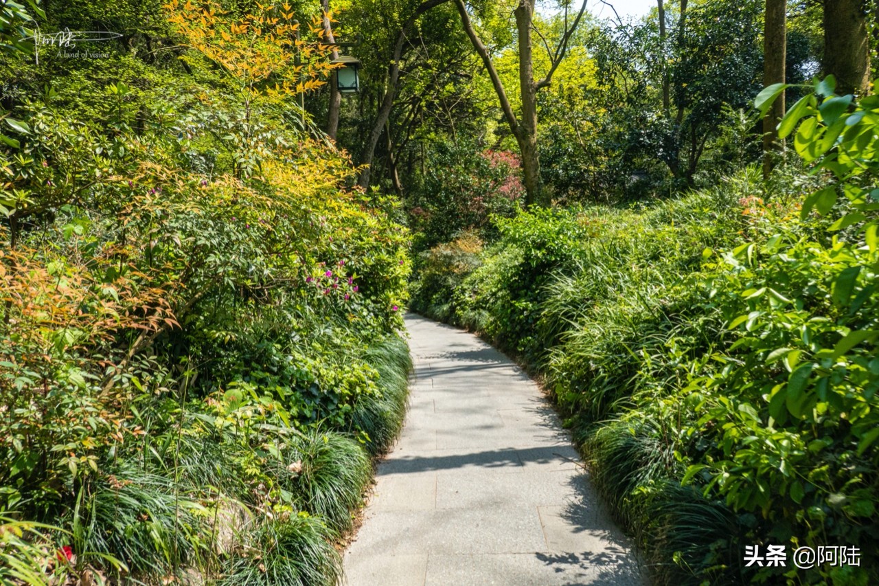 杭州虎跑泉水,杭州虎跑泉旅游攻略