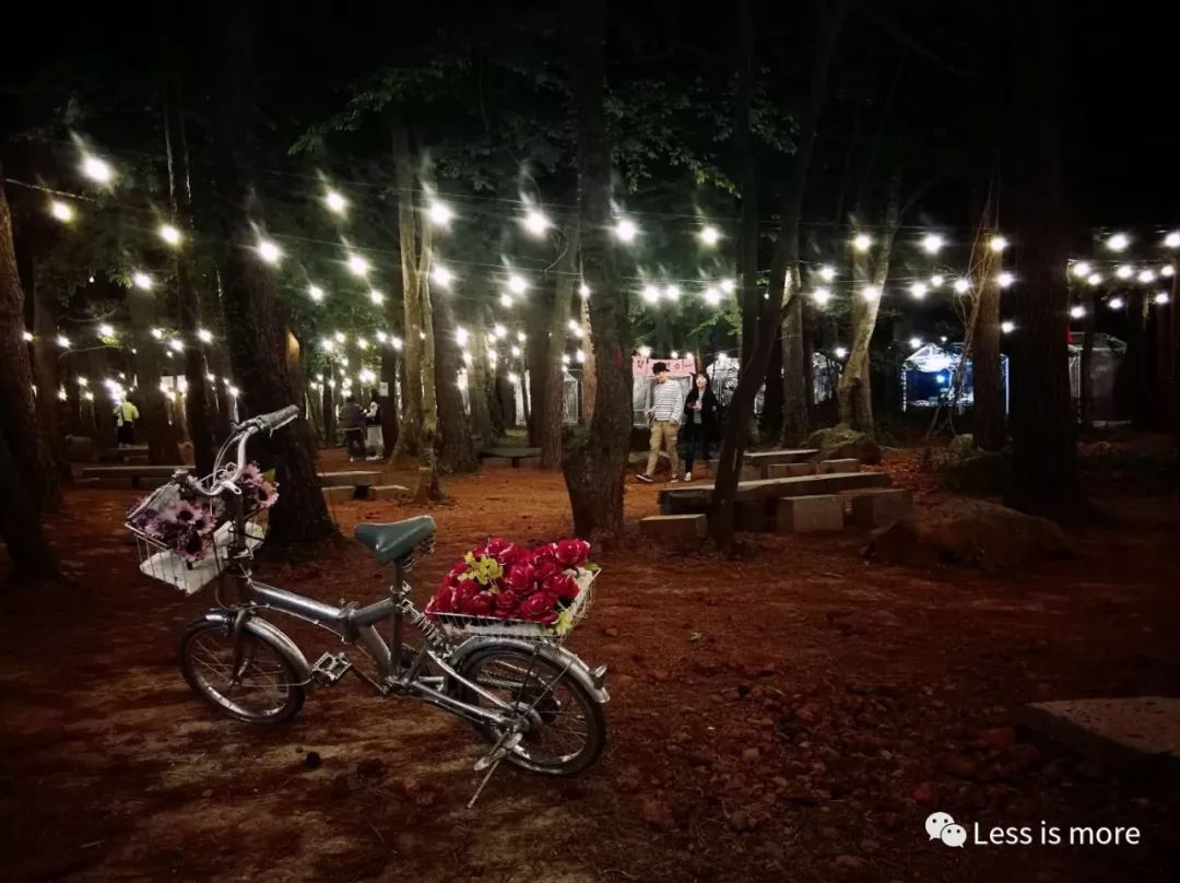 带你们看看济州岛的美景,济州岛路上的小风景