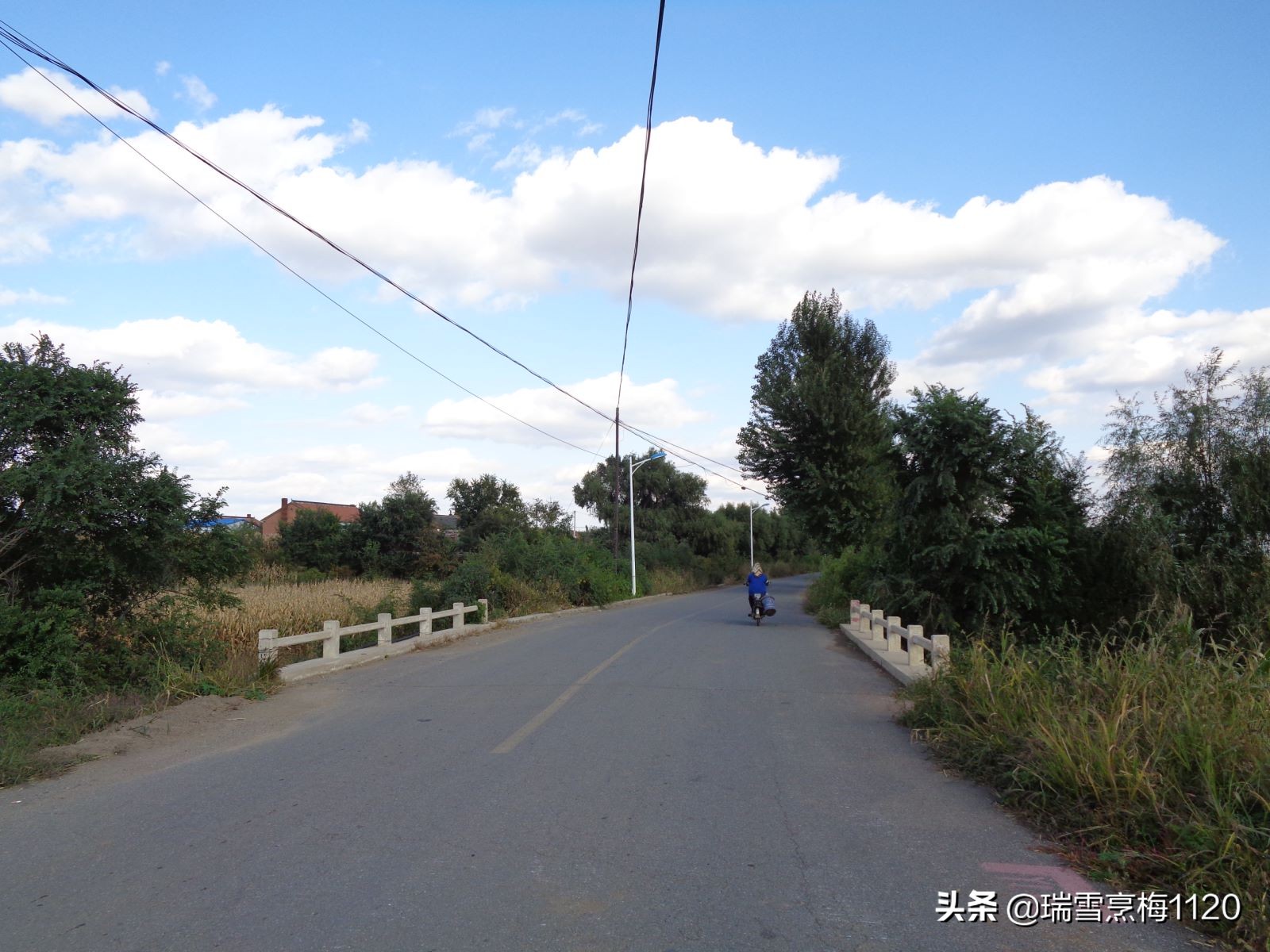 沈北新区依路村,沈北新区马刚乡地图