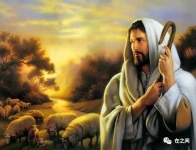 财富指南,财富理财教程