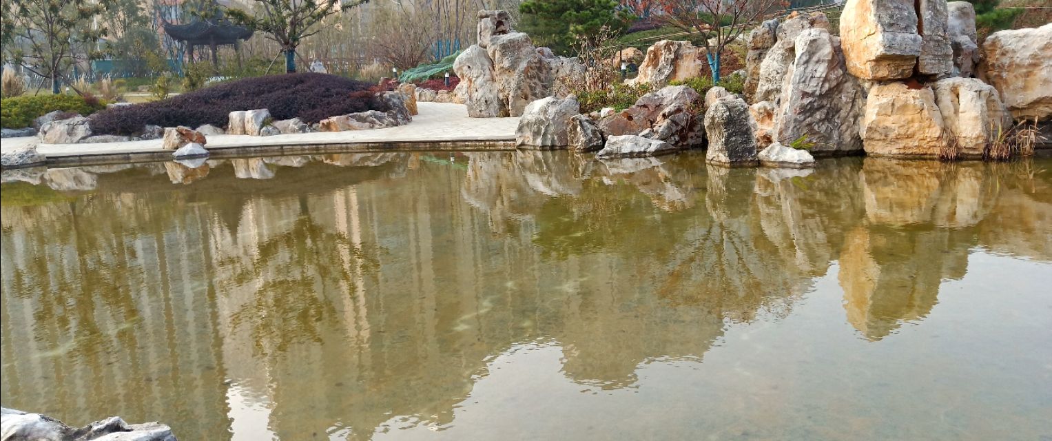 仙林湖游玩,南京仙林湖游玩攻略