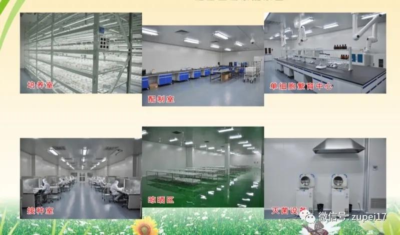 净化空调过滤网,医用净化空调