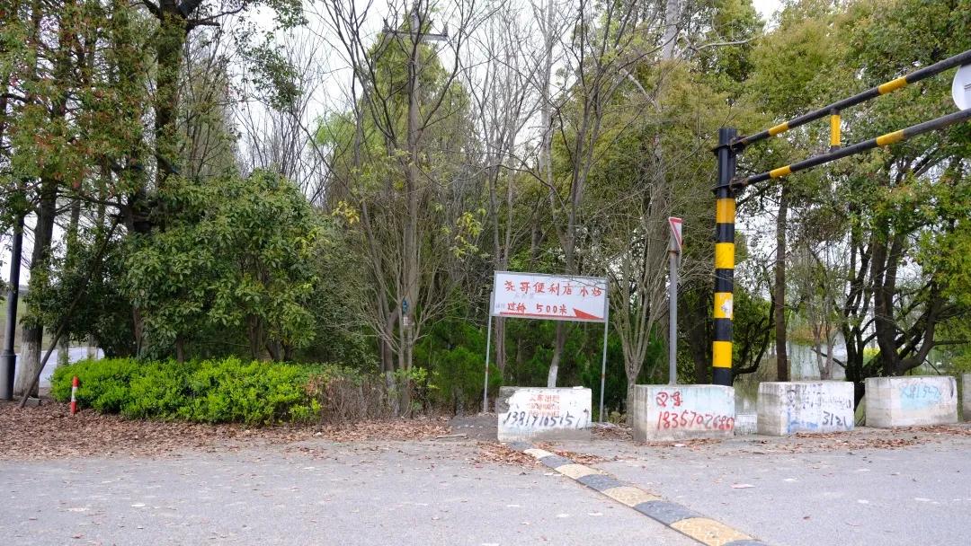 朝闻天下楼盘为什么这么便宜,潮闻天下房价