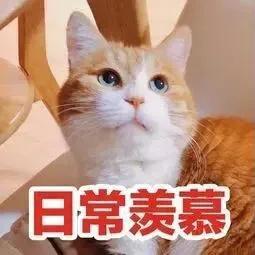 80后的体育课才叫体育课,80后土味视频