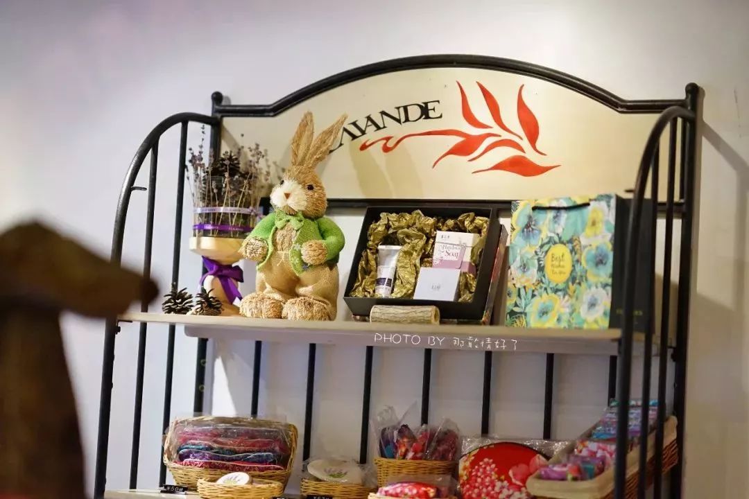 北京京郊童话树屋,台湾神奇的树屋