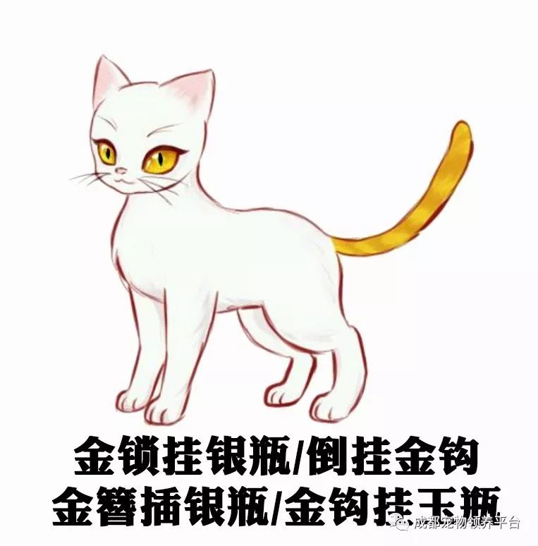 谁说土猫无名猫?快来围观古代猫谱,你家有没有镇宅神兽!