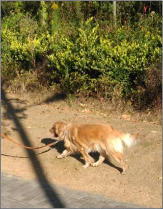 婴儿受到惊吓怎么办,小儿受到惊吓的秘方