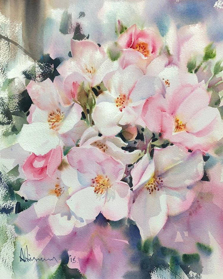 波兰画家水彩花卉,泰国水彩花卉画家