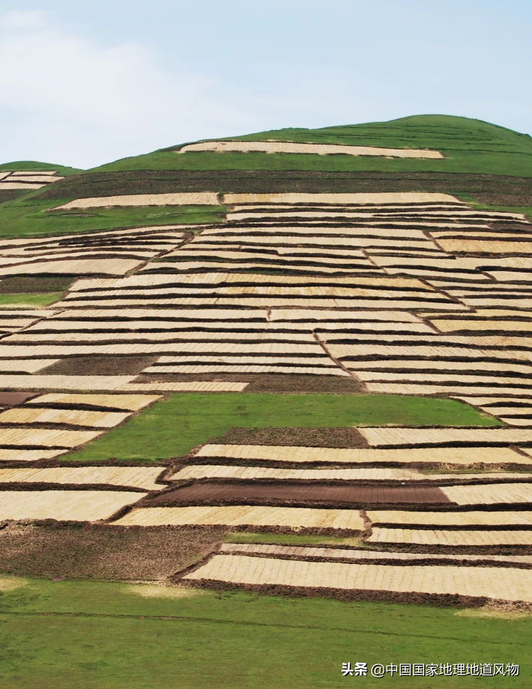 中国薯都地址在哪里,中国薯都为什么是定西