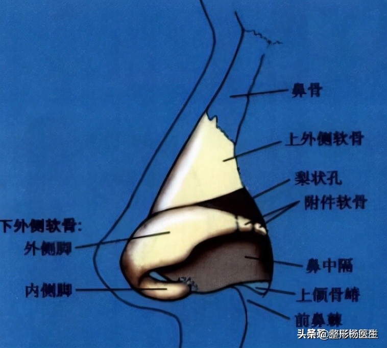 鼻梁可以捏真的假的,捏鼻梁神器变高真的吗