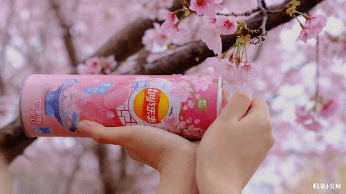 17元/颗的隐形草莓，荷兰来的