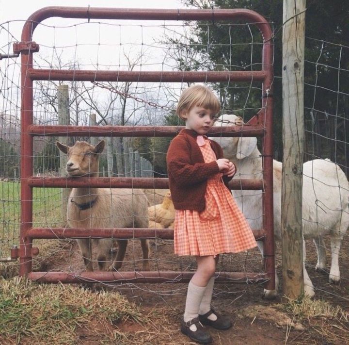 你最舍不得换的壁纸,朋友圈背景图插画