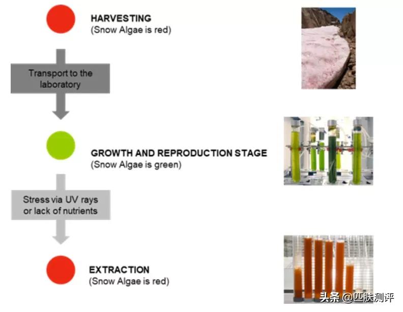 galenic美白精华测评,美白抗衰精华推荐大牌
