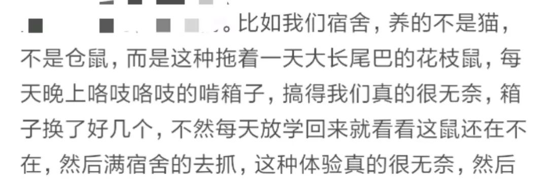 那些年舍友养过的奇葩宠物,你们身边的人都养什么奇怪的宠物