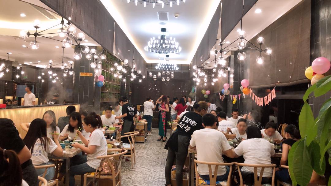 泰国杂交鸡,泰越杂交鸡