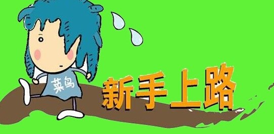 我是新手用英语怎么写,我是新人英语怎么说