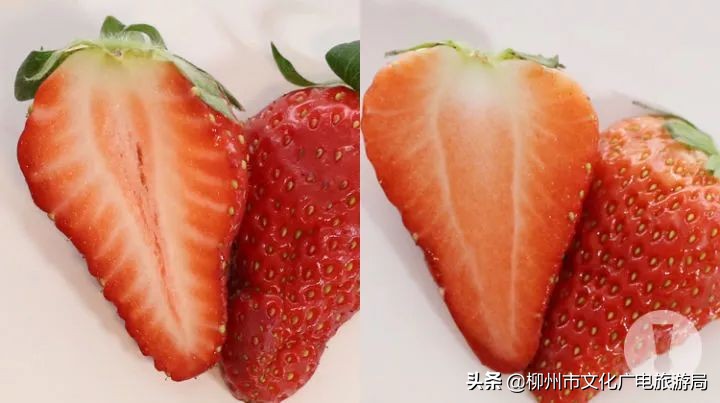 柳州草莓采摘园附近最近地方,柳州附近摘草莓好玩的地方