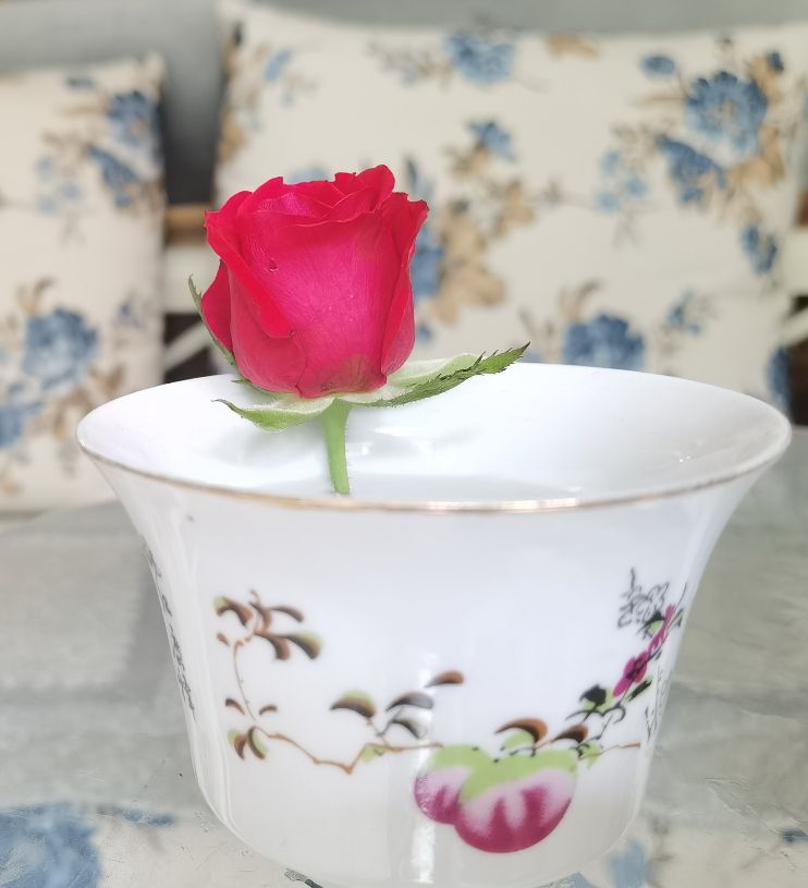 北京夏日的清晨,北京的盛夏