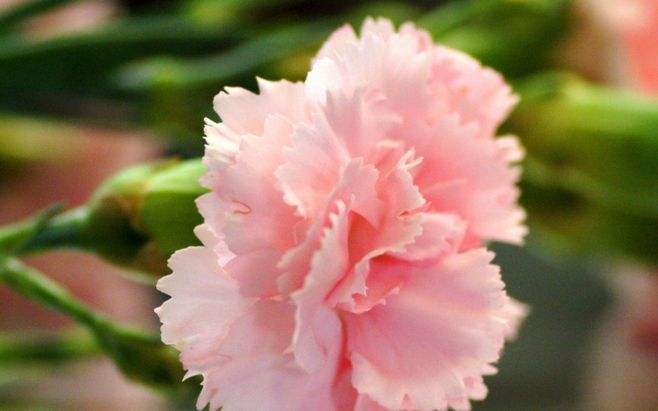 鬼谷子思想精华讲解,鬼谷子思想精华解析