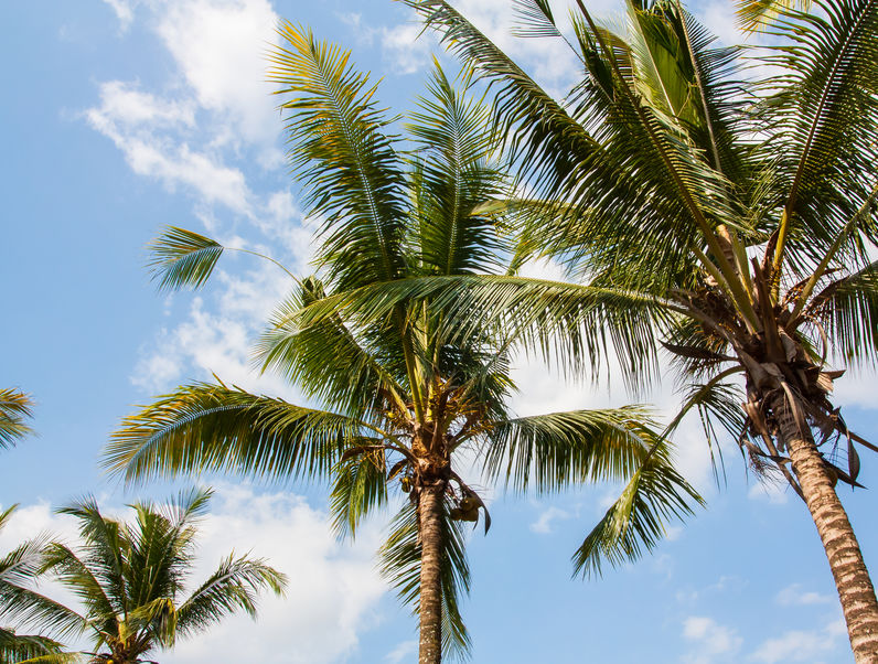 美国塞班岛对哪些国家免签,塞班岛免签游玩