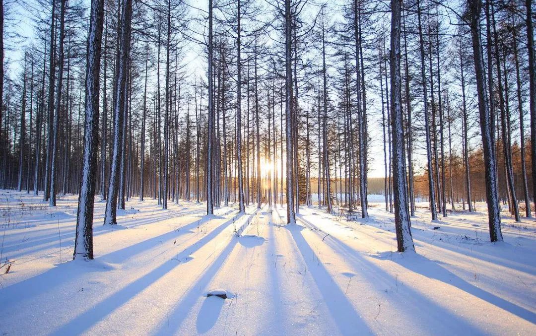 坝上风情坝上人,坝上哪最适合露营