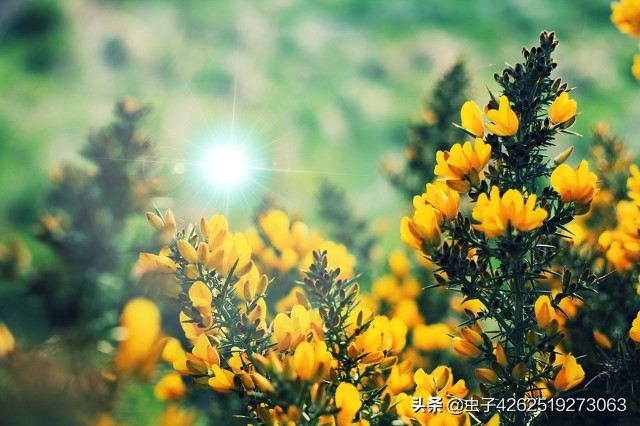 老人都需要“被需要”,两斤毛线治好了昼夜睡眠颠倒的毛病