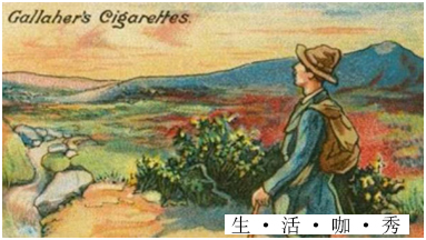 生活小妙招缝伤口,生活小妙招包扎伤口