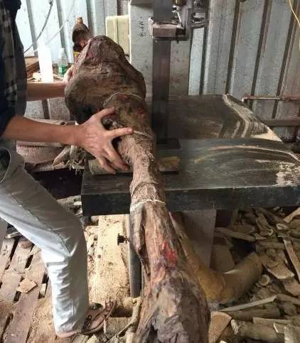 一夜暴富赌石案例,一夜暴富赌石真实经历