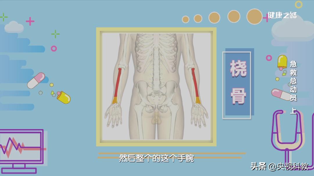 摔伤髋关节骨折,摔伤脚踝骨折