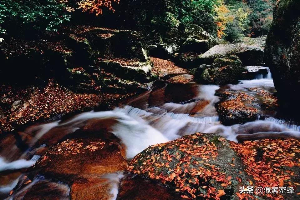 手机拍照新玩法,手机拍照必须这样拍