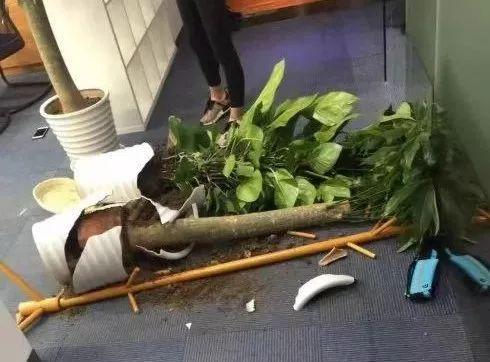 点融网被清理了吗,点融网现在是什么情况