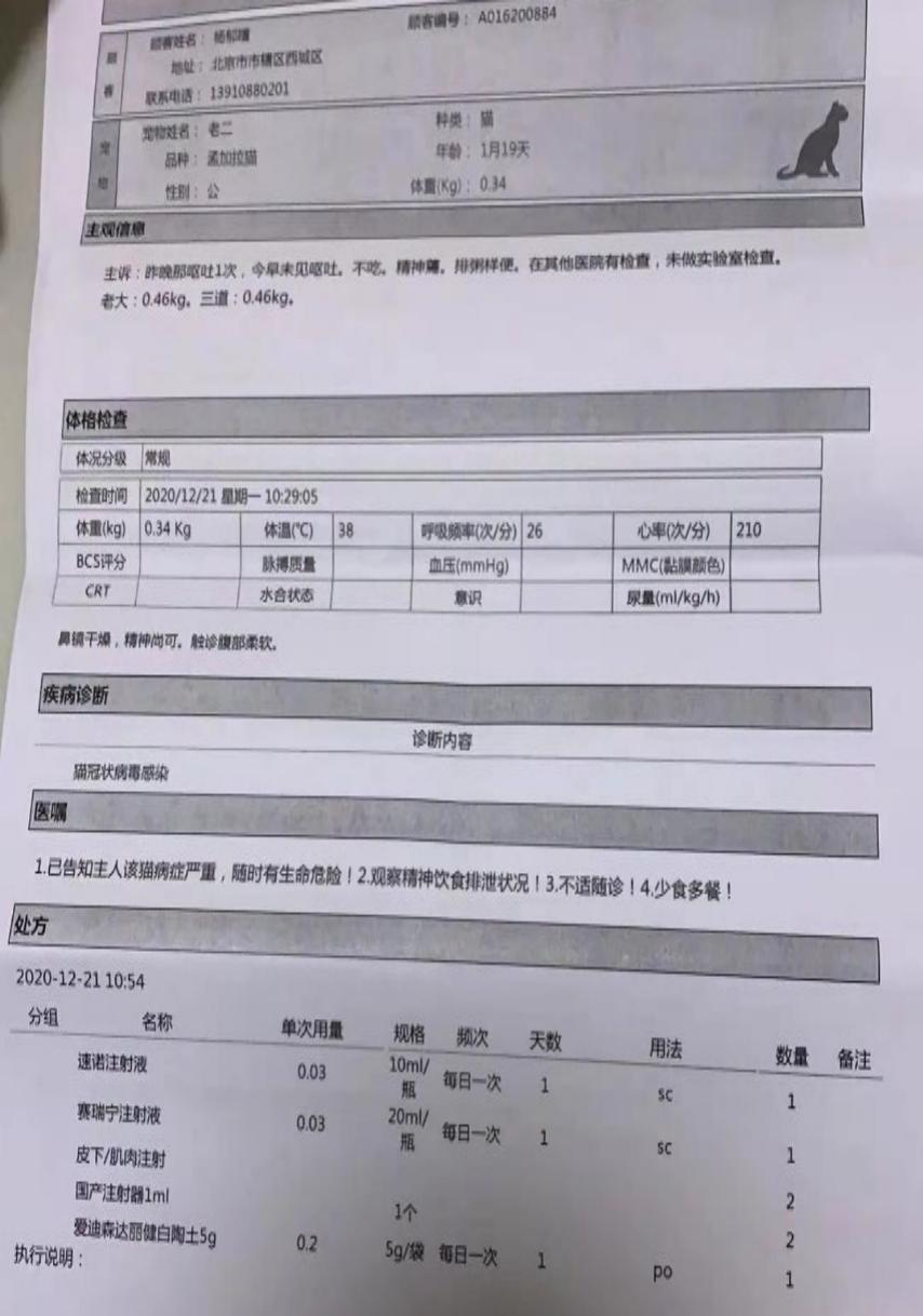 猫感染了新型冠状病毒啥症状,猫感染了新型冠状病毒有什么症状
