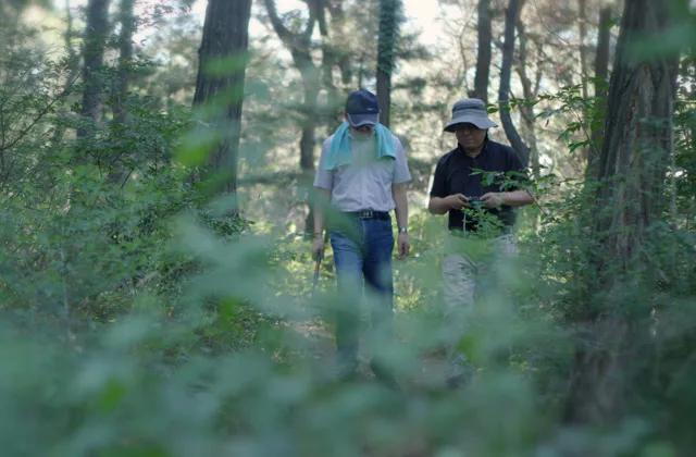 假如虫草会说话——访蛹虫草