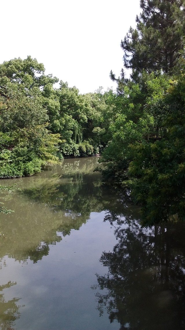 第二批西湖风景名胜区,杭州西湖的风景美如画