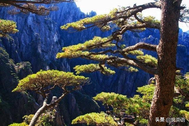 完形填空必背高频短语,初中完形填空必背800词