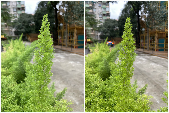 使用iphonese体验一个星期,iphonese使用一周的感受