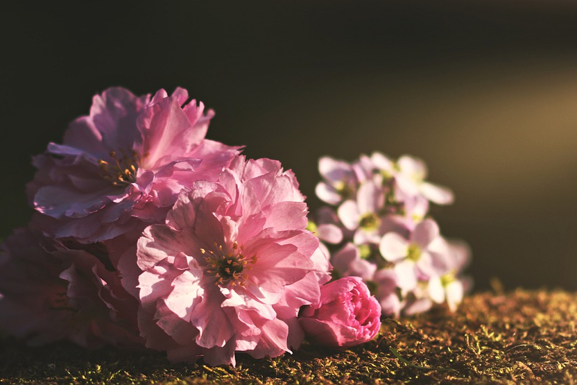 长期缺爱的女人心理,心理学原生家庭缺爱如何治愈