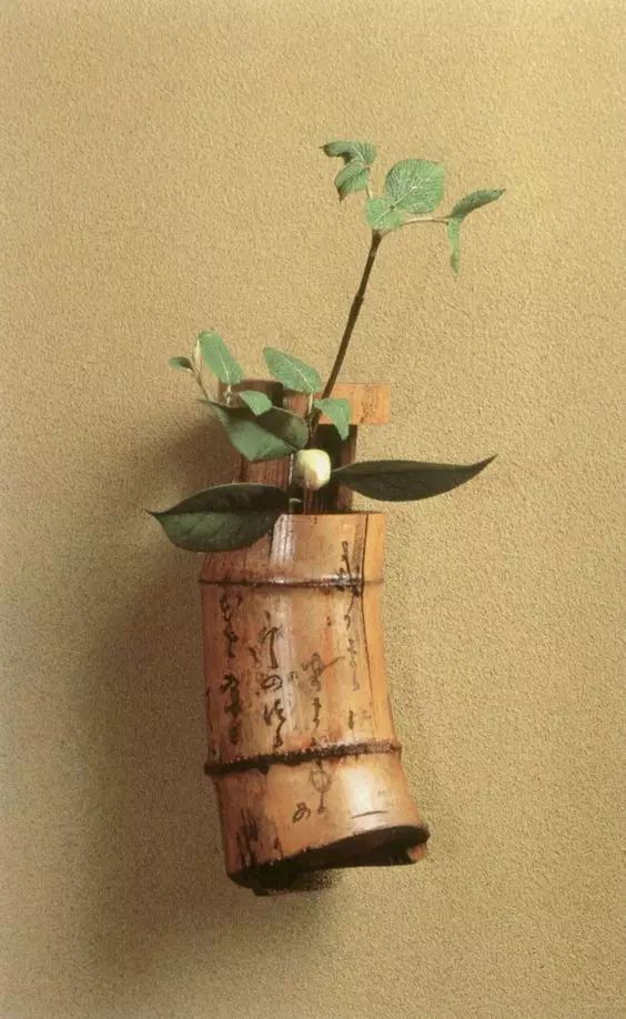 教你怎么学插花,小白零基础怎么学插花