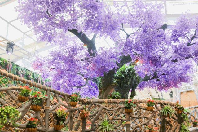 广州遛娃旅游推荐路线攻略,广州遛娃清单升级版